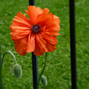010042912a_card