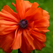 013042912a_card