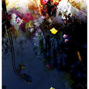 River_weeds_card