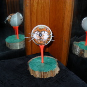 Sam_0943_card