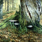 Marg_stump04_card