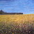 Alpine_field__40x50_cm__1499__tiny_square