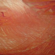 Img_0168_card