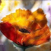 Picture_012poppie_card