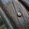 Img_1154_thumb