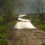 Wolowiec_card