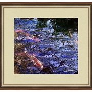 Coy_pond-f_card