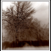 ______3568-1_card