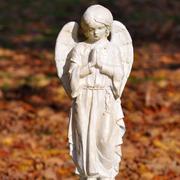 Angel1_card