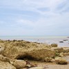 Pisjun_106_thumb