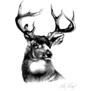 Mydeerpicbest_card