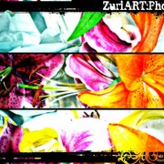 Hawt1_card