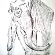 Ele_card