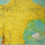 P4300343b_card