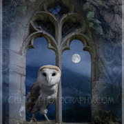 Evening_falls_fini_a3_with_border_card