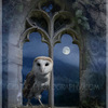 Evening_falls_fini_a3_with_border_thumb