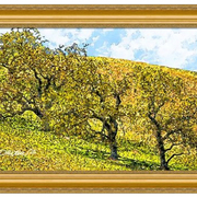 California_hillside-f_card