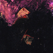 Copia_di_mail_art_17_card