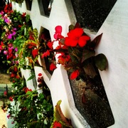 Photo__2__card