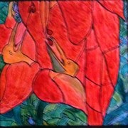Pelican_window