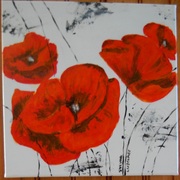 Snow_poppies_004_card