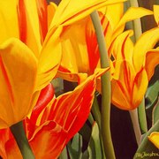 Dutchpride_card