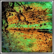Rustfree_snapseed_card