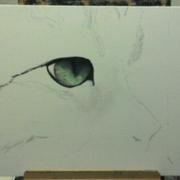 2012-05-12_11-22-42_880-1_card
