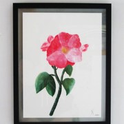 French_rose_card