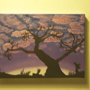 _mg_9418_card