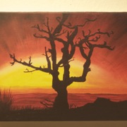 _mg_9419_card