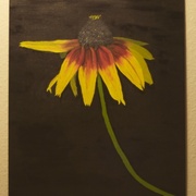 _mg_9422_card