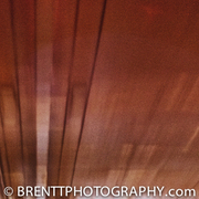 Tunnelbrown_card