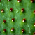 Greencactushdr2_tiny_square