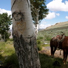 Img_1912_thumb