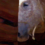 Doihavetosm_card