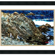 Two_gulls-f_card