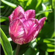 2012_dsc00203_card