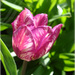 2012_dsc00203_square