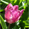 2012_dsc00203_thumb