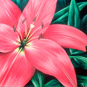 Redlily_copy_card