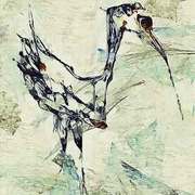 Ptaszek_v_card