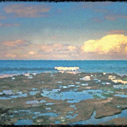 One_whitecap_card