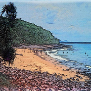 Tropics_card