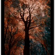 Untitled2-2_card