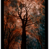 Untitled2-2_thumb