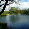 Dscf4609_thumb