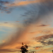 Img_4785a_square