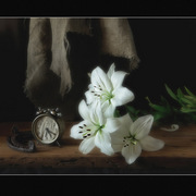 __________________50_70still_life_with_a_clock_card