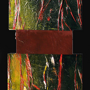 Anima_vene_card